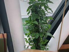 -Jazz·ya 爵士屋(来福士店)