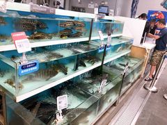 -盒马鲜生(大成店)