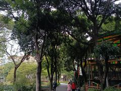 -晓港公园