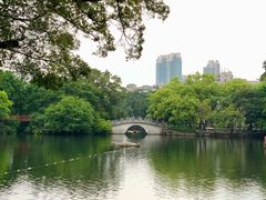 -荔湾湖公园