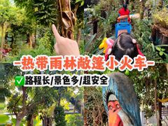 -呀路古热带植物园