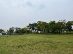 -盘龙城国家考古遗址公园