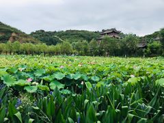 -渭南桃花源民俗文化园