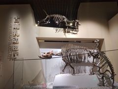 -国家自然博物馆