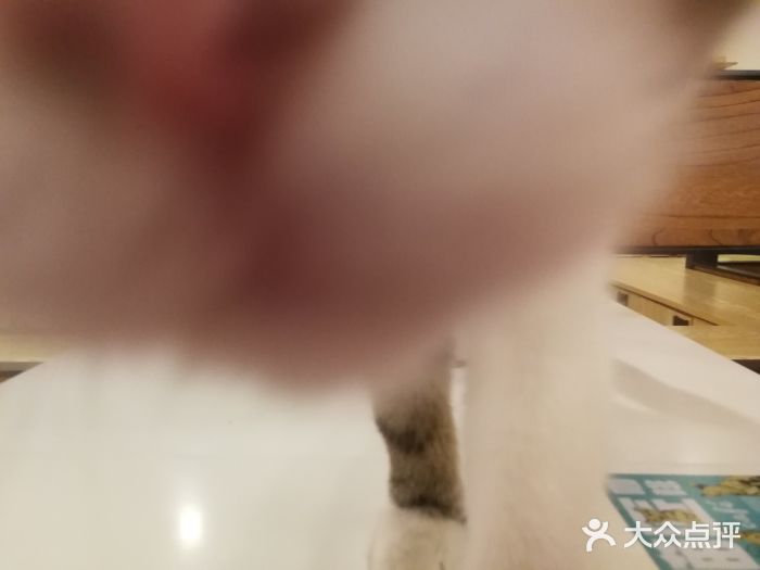 喵匠猫主题咖啡(凯德和平广场店)图片