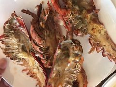 芝士焗波士顿龙虾-北京王府井希尔顿酒店·万斯阁西餐厅