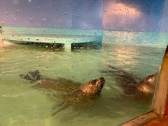 -太平洋海底世界