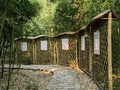 -同里国家湿地公园