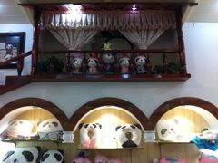 -熊猫屋(宽窄巷子景区店)