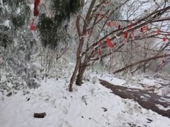 -涂山风景区