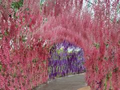 -歌斐颂巧克力小镇