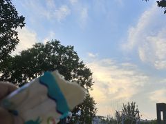 -山东大学体育馆