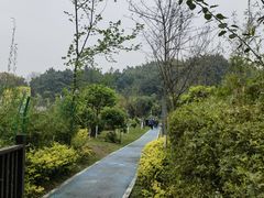 -重庆平顶山公园
