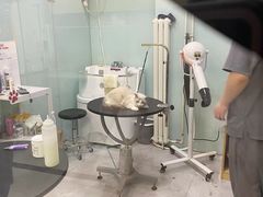 -中农大我爱我爱动物医院·核磁CT·猫病·24小时夜诊中心(石佛营店)