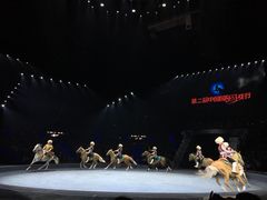 -珠海横琴长隆《卡卡虎奇遇记》