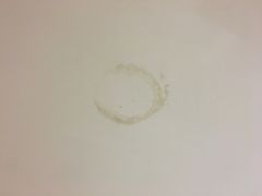 -城市便捷酒店(佛山大良清晖园步行街店)