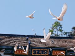 -九华山风景区