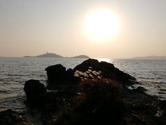 -上海市保健医疗中心(华东疗养院)