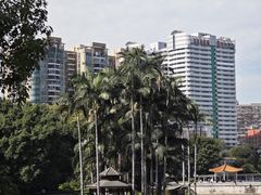 -荔湾湖公园