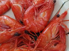 白灼虾-巽东海鲜大排档(巽寮湾店)