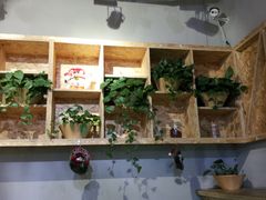 -Meal Salad米有沙拉(长泰广场店)