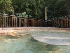 -天目湖涵田半山温泉