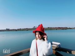 白鸟湖-上海海湾国家森林公园