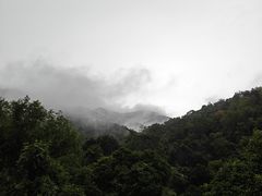 -野象谷景区