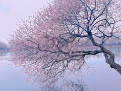 -颐和园