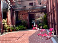 -剥皮寮历史街区