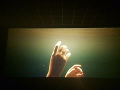 -保定金棕榈先天下国际影城(LUXE)