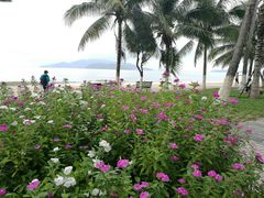 -芽庄中心购物广场