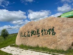 -黑龙江扎龙生态旅游区