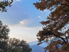 -广州市石门国家森林公园