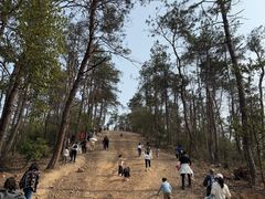 -青龙山国家森林公园