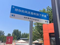 -向外鱼乐·土菜·虹鳟鱼