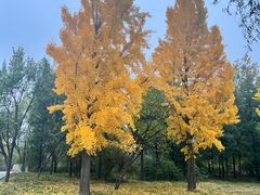 -国家植物园南园