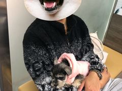 -爱侣宠医·鹦鹉专科·小型哺乳类·异宠专科(灵石路店)