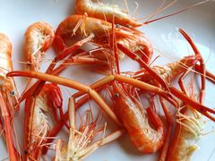 -八仔大富楼·河鲜(西江店)