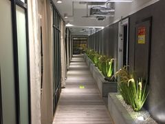 -拈菜(观音桥阳光世纪店)