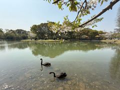 -潮府馆·非遗潮州菜·港式点心(世纪公园店)