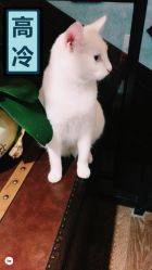 -HMC美容按摩SPA馆