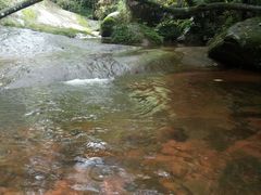 -赤水丹霞旅游区·佛光岩