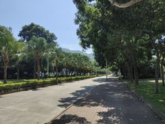 -风云岭森林公园