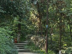 -杭州半山国家森林公园