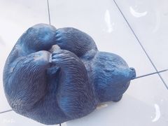 -凤凰中心