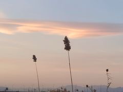 -绿堤公园