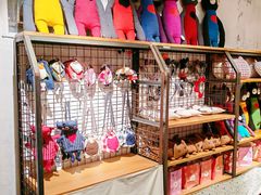 -猫咪博物馆(顶澳仔猫街店)