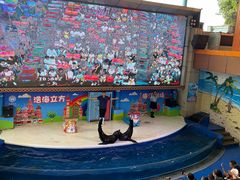 -海合安成都极地海洋公园