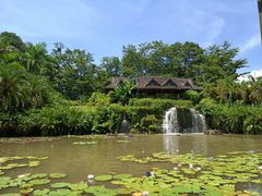 -中国科学院西双版纳热带植物园